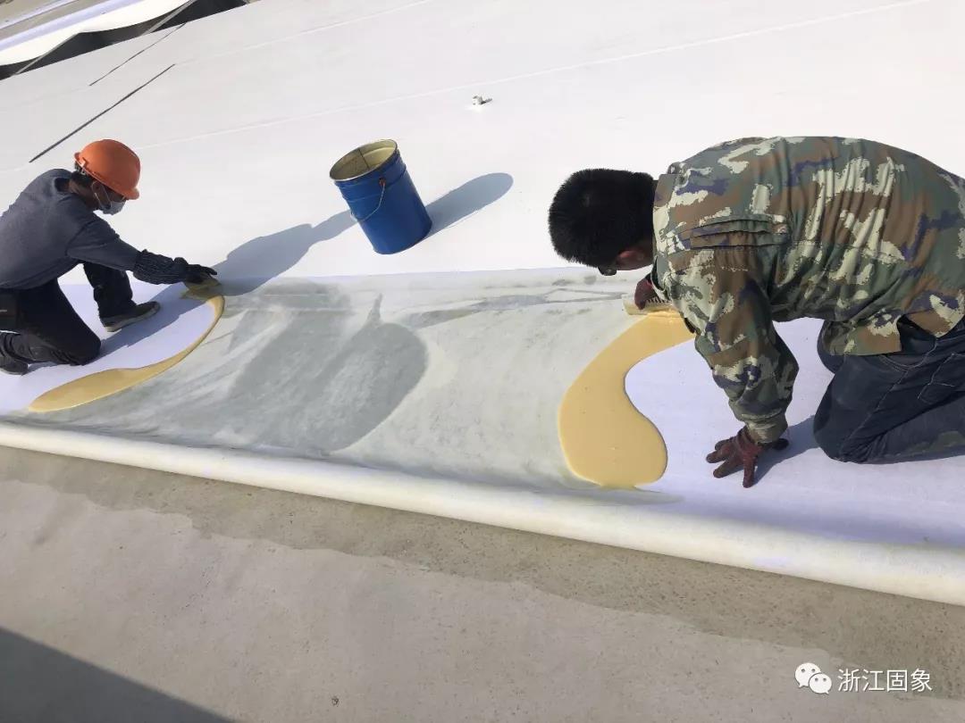 1569225204178831.jpg 微信圖片_20190923155206.jpg